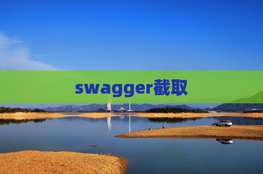 swagger截取